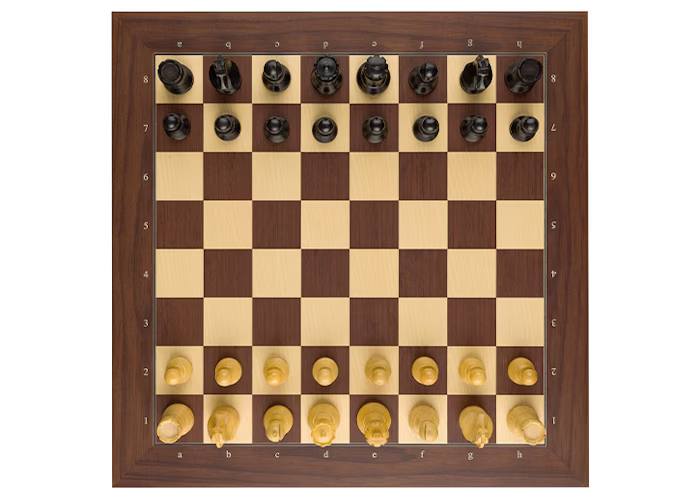 Tablero DGT Bluetooth e-Board Palisandro y Piezas Timeless