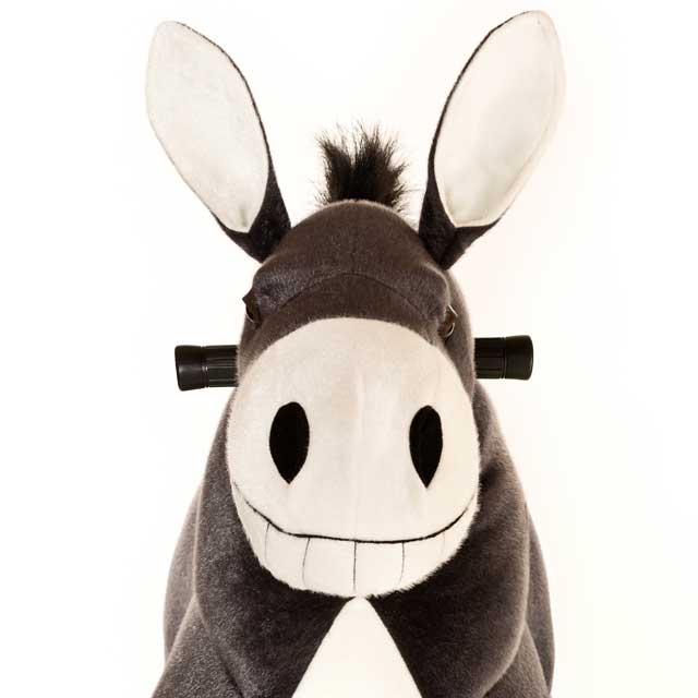 Burro Dundy Grande Profesional - zoom cabeza frontal