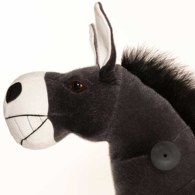 Burro Dundy Pequeño - zoom cabeza lateral