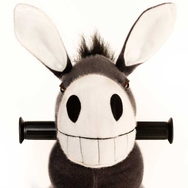 Burro Dundy Pequeño - zoom cabeza frontal