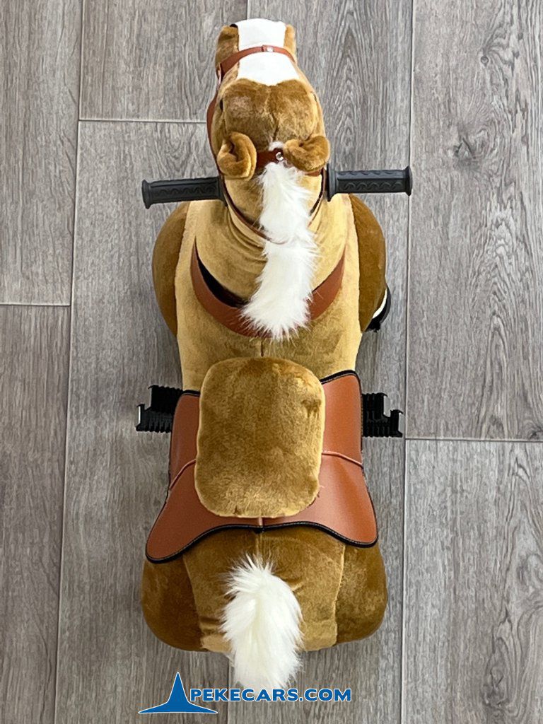 roach mediano ponycycle