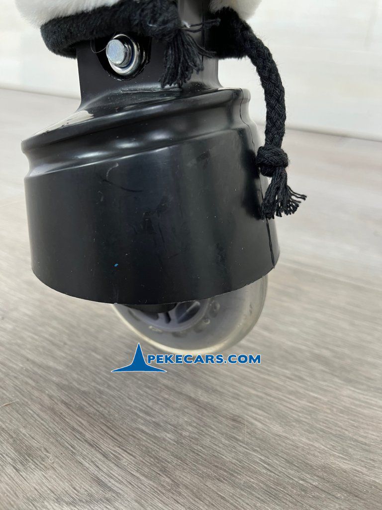 roach mediano comprar caballo para montar