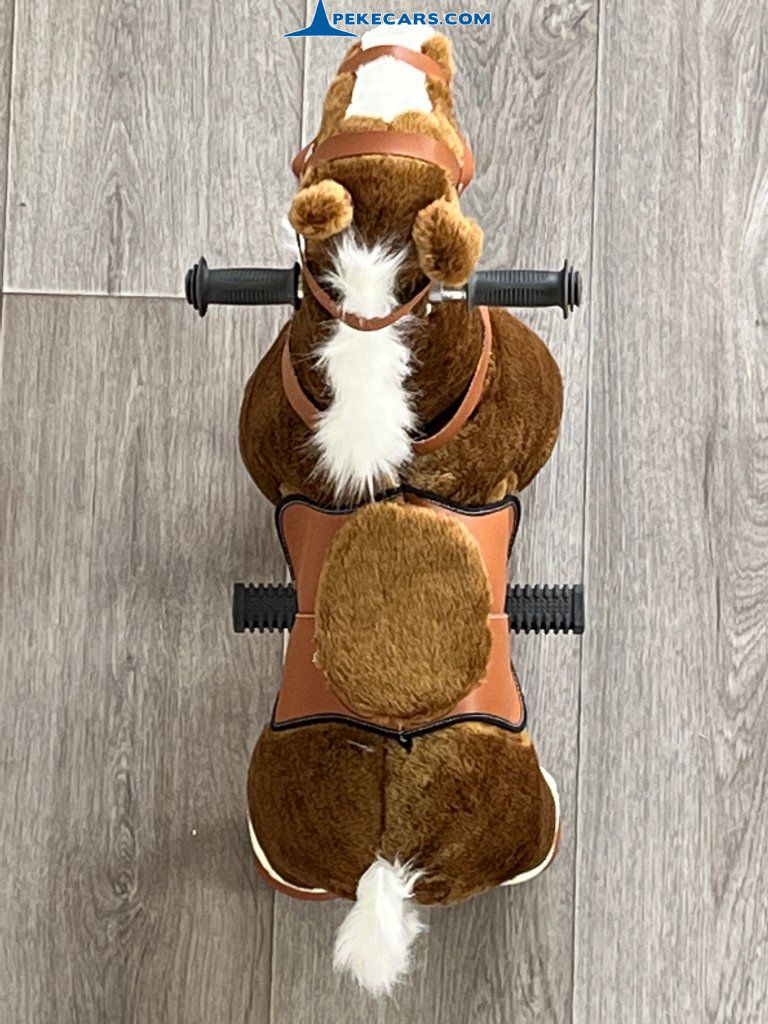 roach pequeno ponycycle