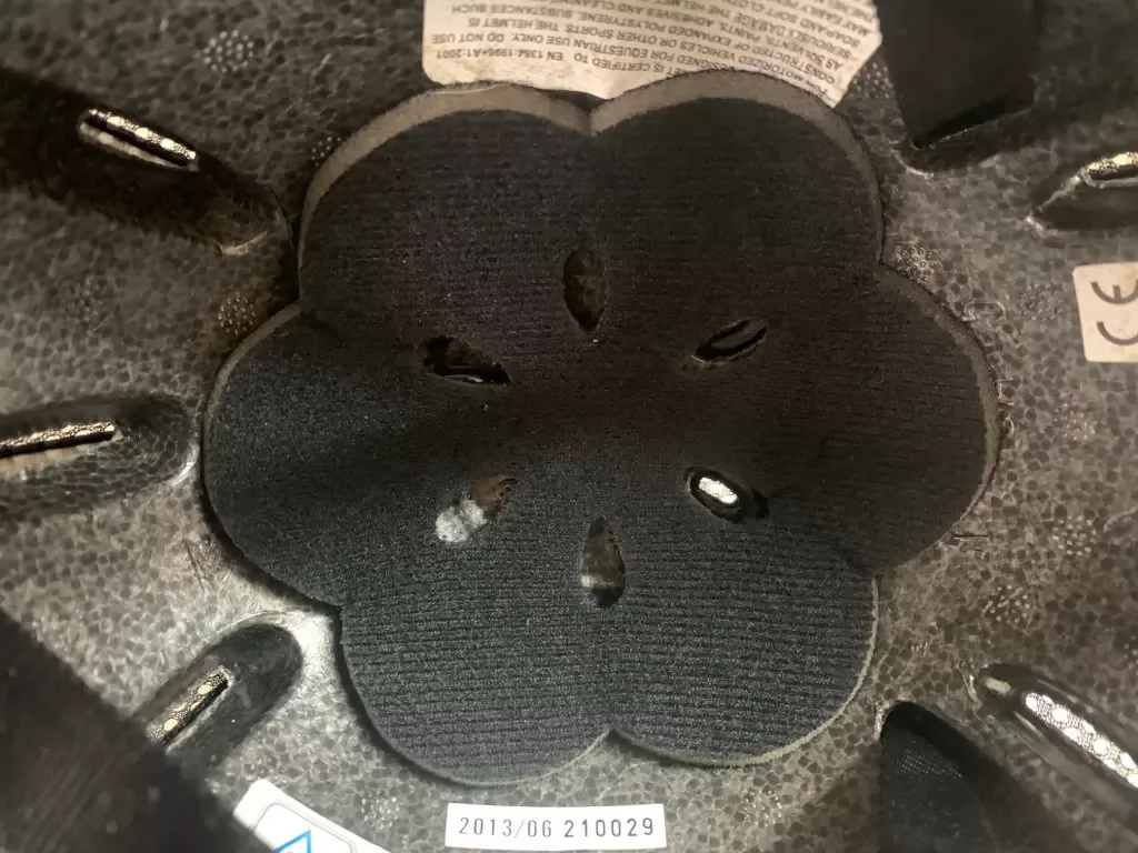 Casco animal riding en negro terciopelo