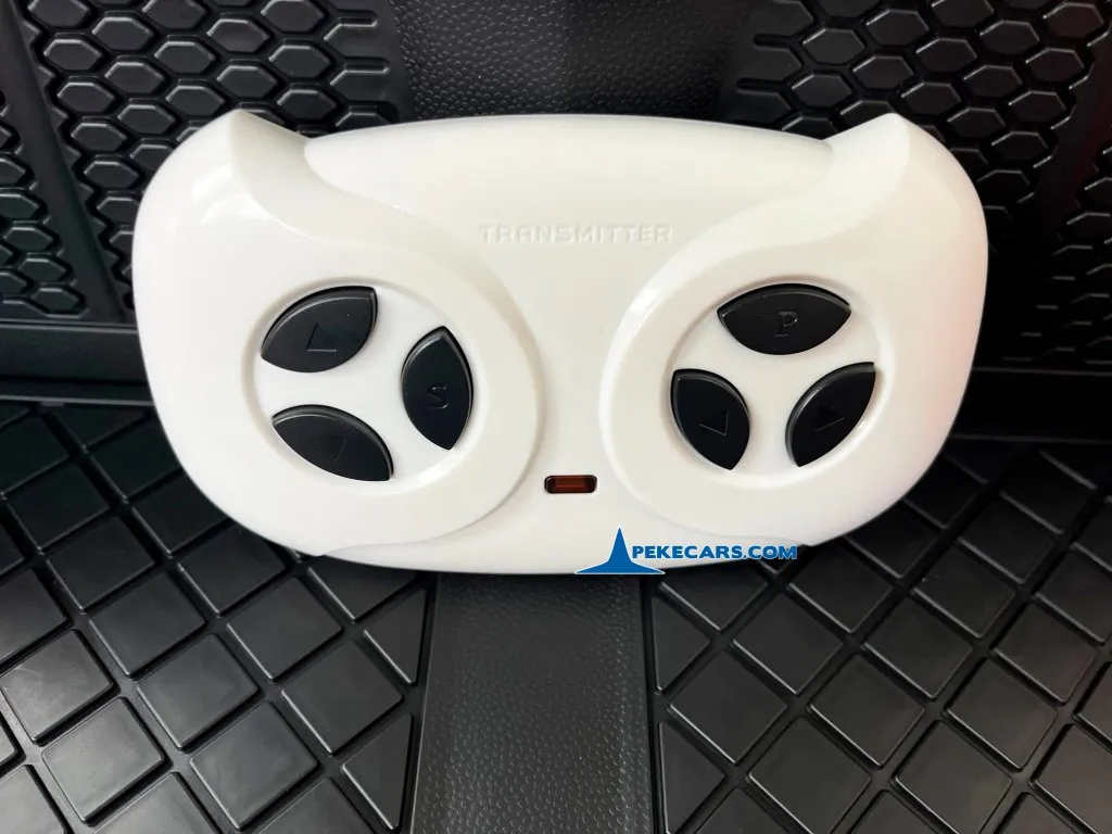 Audi TT RS Roadster 1 Plaza 12V 2.4G Rosa mando