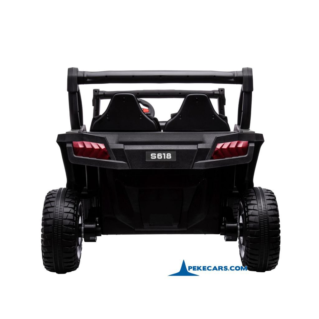 Buggy 1000R 24V Negro parte trasera