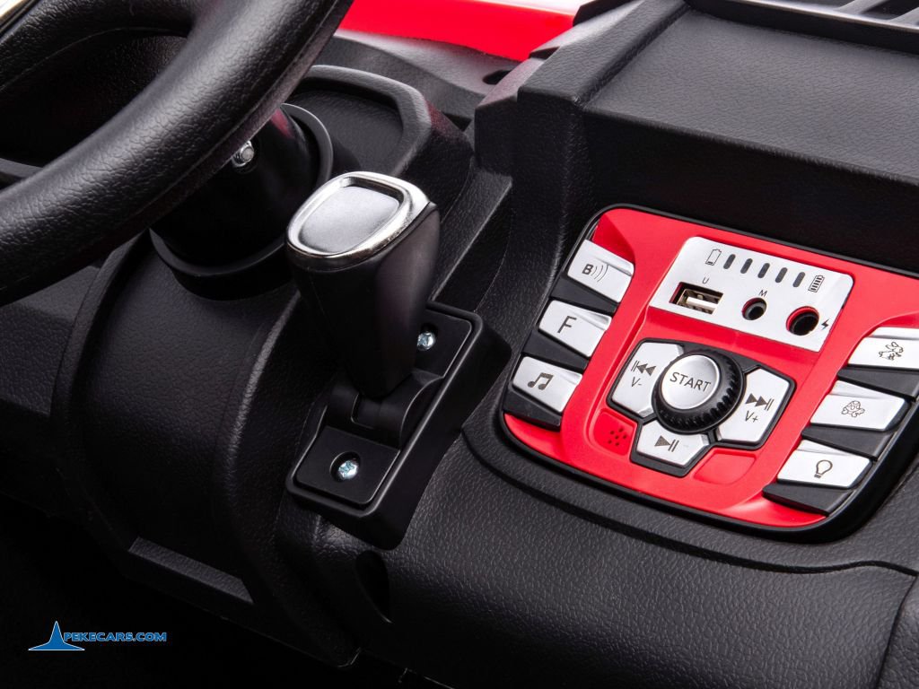 Buggy 1000R 24V Rojo display