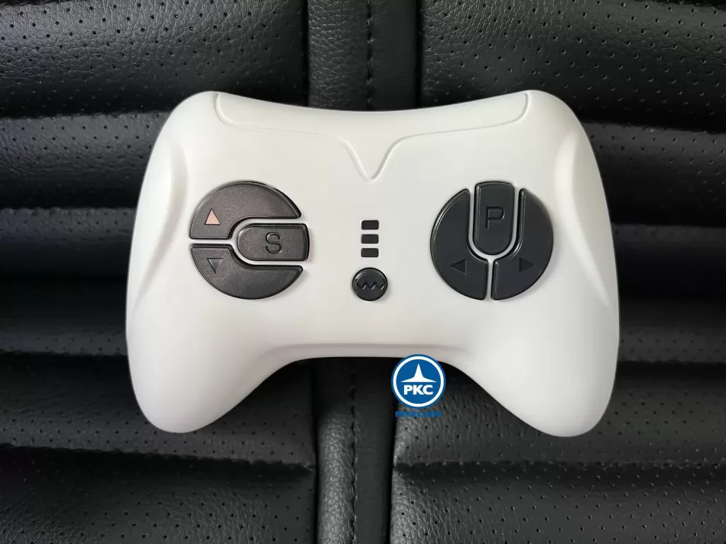 Buggy Dakar 24v Negro