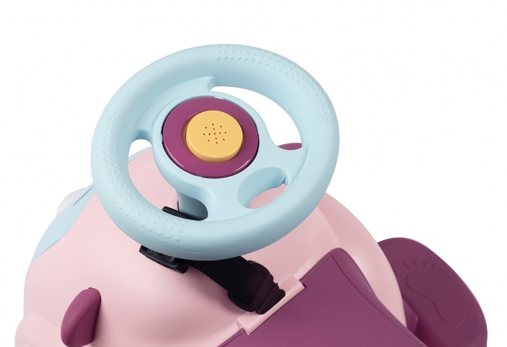 Maestro Rosa - zoom volante