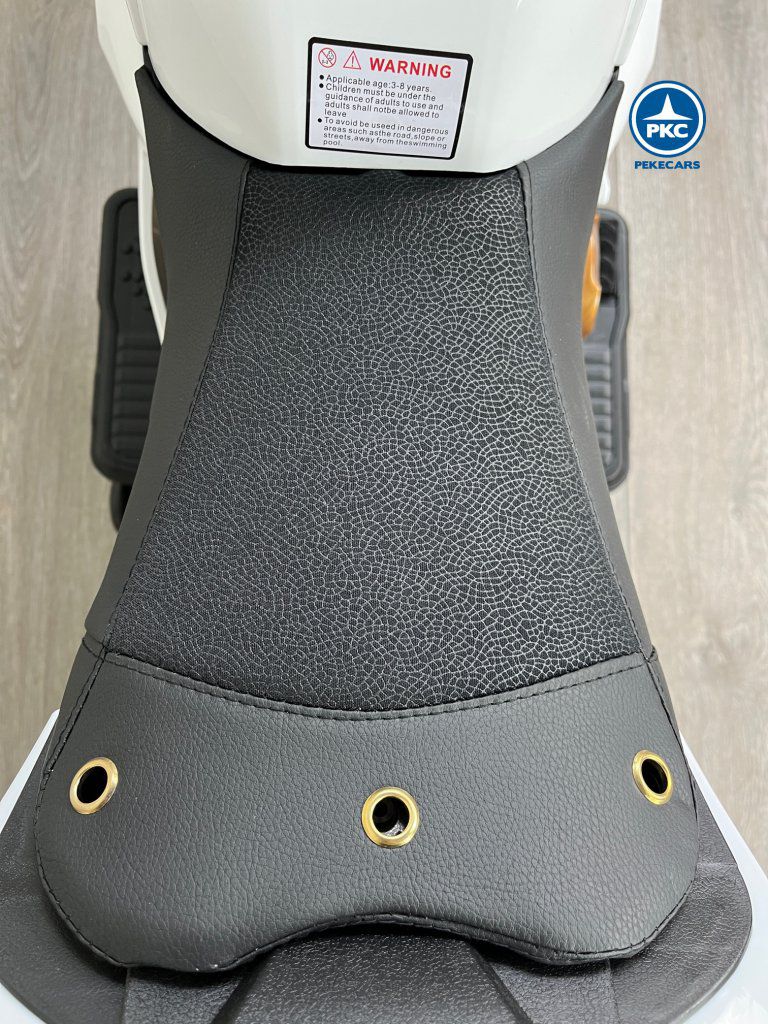 Moto Ducati Panigale V5R 12V Blanca