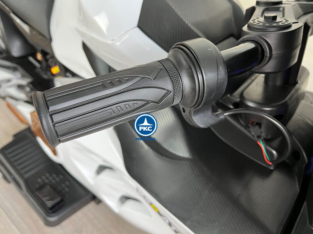 Moto Ducati Panigale V5R 12V Blanca